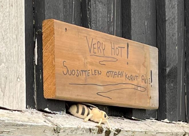 very very hot volvo